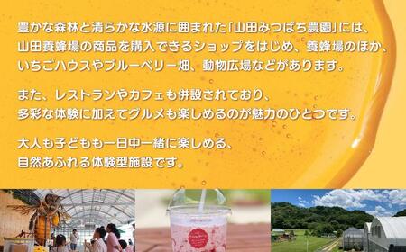 ［山田みつばち農園］体験割引チケット（2000円分）049-a001