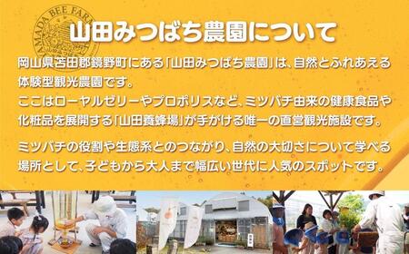 ［山田みつばち農園］1Dayフリーパス（6月～12月）※いちご狩りなし 049-a003