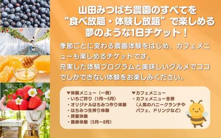 ［山田みつばち農園］1Dayフリーパス（6月～12月）※いちご狩りなし 049-a003
