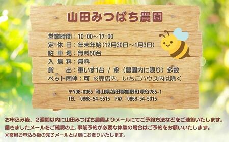 ［山田みつばち農園］1Dayフリーパス（6月～12月）※いちご狩りなし 049-a003