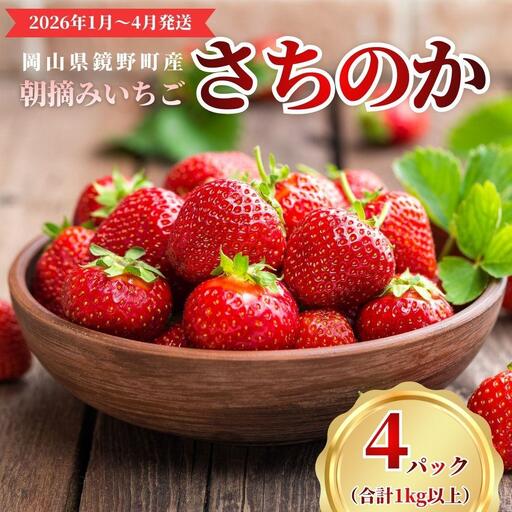 鏡野町産 朝摘みいちご「さちのか」4パック（合計1kg）【2026年1月～4月発送】【029-a015】