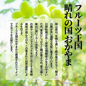 【2026年発送分 先行予約】【梅村ファーム】朝摘み直送 シャインマスカット(3~5房入り 約2.0kg)【030-a017】