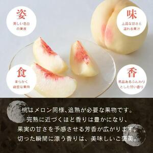 【先行予約】晴れの国おかやま 白桃・黄金桃食べ比べ４玉【8月下旬～9月上旬発送】【021-a024】