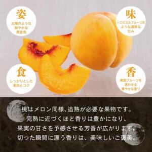 【先行予約】晴れの国おかやま 白桃・黄金桃食べ比べ6玉【8月下旬～9月上旬発送】【021-a025】