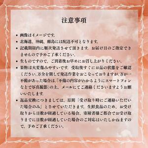 【先行予約】晴れの国おかやま 白桃1.2kg以上(4~5玉)【8月中旬~9月上旬発送】【021-a026】