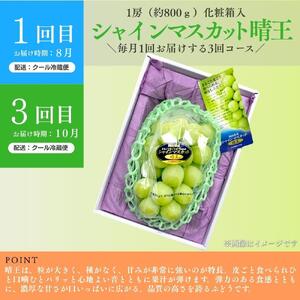 ＜定期便全3回＞シャインマスカット晴王1房800g 2回とぼっけぇピオーネ1房800g 1回の計3回コース [040-a013]