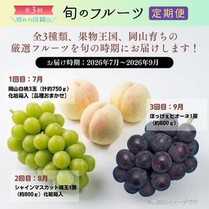 ＜定期便3回＞ 岡山白桃、シャインマスカット晴王、ぼっけぇピオーネの3回コース [040-a014]