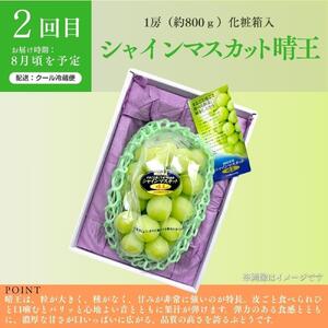 ＜定期便3回＞ 岡山白桃、シャインマスカット晴王、ぼっけぇピオーネの3回コース [040-a014]