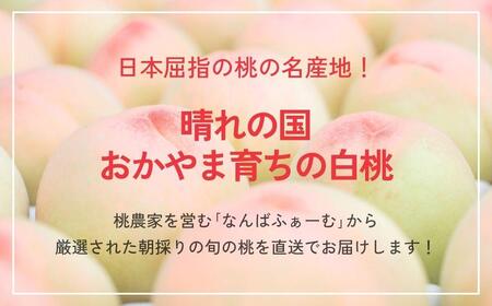 ＜数量限定＞［なんばふぁーむ］岡山県産 旬の桃 750g（3玉）［ご家庭用］【2026年発送】【039-a011】