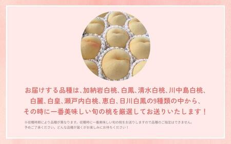 ＜数量限定＞［なんばふぁーむ］岡山県産 旬の桃 750g（3玉）［ご家庭用］【2026年発送】【039-a011】