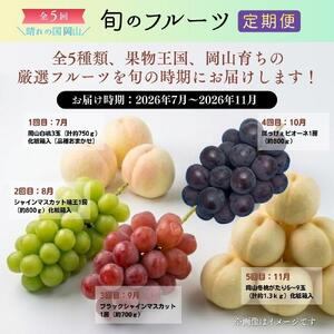 ＜定期便5回＞ 岡山白桃、シャインマスカット晴王、ブラックシャインマスカット、ぼっけぇピオーネ、冬桃がたりの5回コース [040-a015]