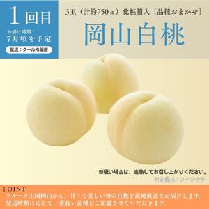 ＜定期便5回＞ 岡山白桃、シャインマスカット晴王、ブラックシャインマスカット、ぼっけぇピオーネ、冬桃がたりの5回コース [040-a015]