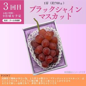 ＜定期便5回＞ 岡山白桃、シャインマスカット晴王、ブラックシャインマスカット、ぼっけぇピオーネ、冬桃がたりの5回コース [040-a015]