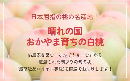 ＜数量限定＞［なんばふぁーむ］岡山県産 旬の桃 750kg（3玉）[ギフト用]【2026年発送】039-a012