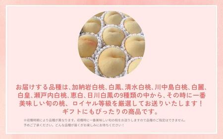 ＜数量限定＞［なんばふぁーむ］岡山県産 旬の桃 750kg（3玉）[ギフト用]【2026年発送】039-a012