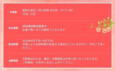 ＜数量限定＞［なんばふぁーむ］岡山県産 旬の桃 750kg（3玉）[ギフト用]【2026年発送】039-a012