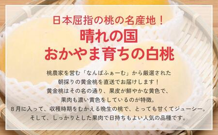 【2026年先行予約】［なんばふぁーむ］岡山県産 黄金桃 750g（3玉）［ご家庭用］【039-a013】