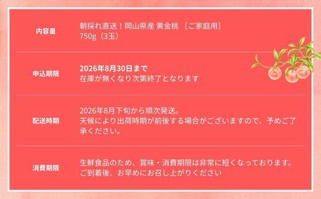 【2026年先行予約】［なんばふぁーむ］岡山県産 黄金桃 750g（3玉）［ご家庭用］【039-a013】