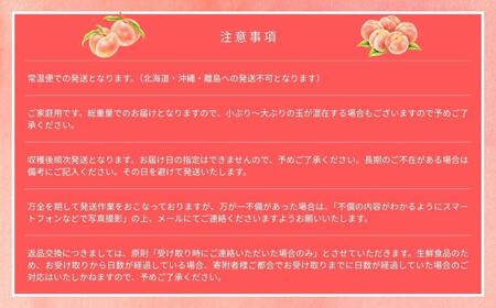 【2026年先行予約】［なんばふぁーむ］岡山県産 黄金桃 750g（3玉）［ご家庭用］【039-a013】