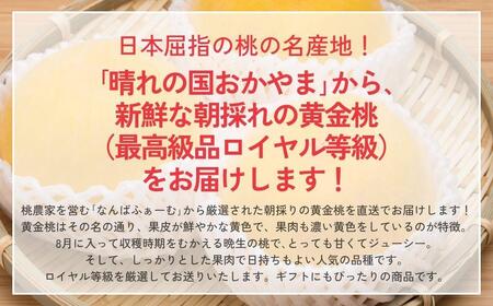 【2026年先行予約】［なんばふぁーむ］岡山県産 黄金桃 750g（3玉）[ギフト用]【039-a014】