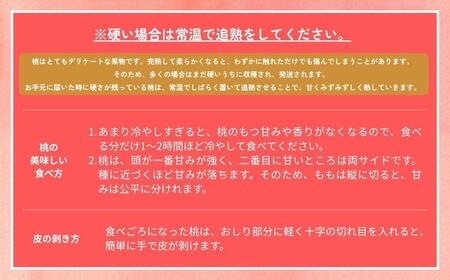 【2026年先行予約】［なんばふぁーむ］岡山県産 黄金桃 750g（3玉）[ギフト用]【039-a014】