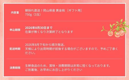 【2026年先行予約】［なんばふぁーむ］岡山県産 黄金桃 750g（3玉）[ギフト用]【039-a014】