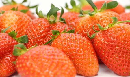 岡山県 勝央町産 いちご かおり野 約1.2kg(約300g×4パック) _A35