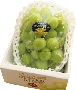 【2026年発送_先行予約】 岡山県産 ぶどう シャインマスカット 700g以上 (1房) ＜9月中旬から10月中旬発送＞ _A5