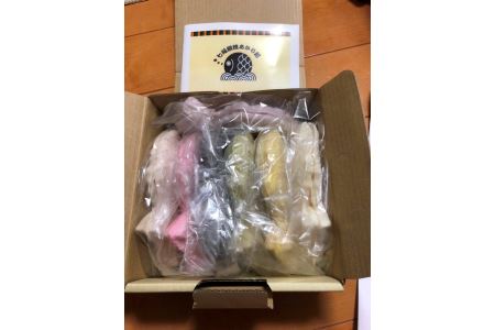 話題沸騰! 七色の”冷たい” たい焼き 七福鯛焼 _S107