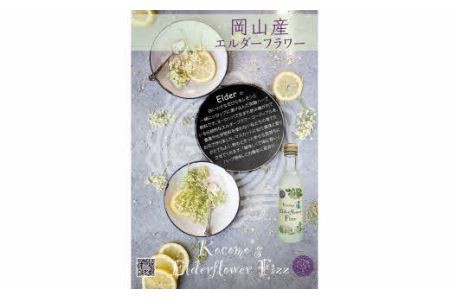 Kocomo’s エルダーフラワーフィズ 炭酸飲料 200ml×6本 _S122