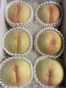 光田さん 自慢の桃 白鳳 2kg(5~6玉) _S53