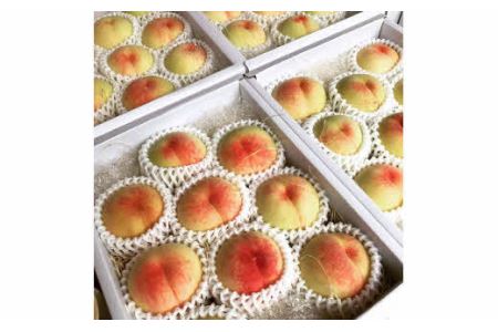 木成り熟成 光田さん 自慢の桃 あかつき 3kg(7～9玉) _S54