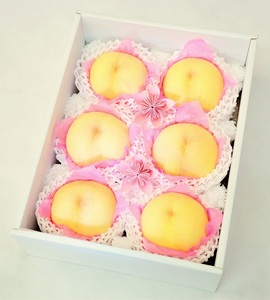 樹熟し 白桃 2kg 糖度15度以上 【極甘】 _S117