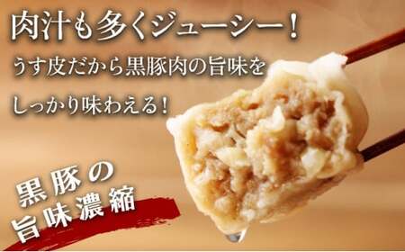 肉たっぷり 岡山焼売 晴れの国で育った黒豚焼売 8個入り（280g）×8パック シューマイ おかず おつまみ 冷凍