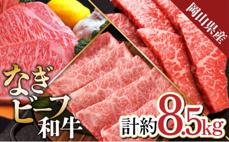 合計8.5kg!【なぎビーフ】ロースステーキ用ブロック約5kg　肩ローススライス約2kg　モモバラ焼肉約1.5kg 黒毛和牛 牛肉 小分け 冷凍