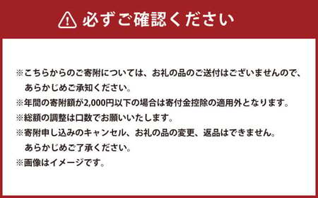 【返礼品なし】岡山県奈義町の取り組みを全国へ！奈義町で行う少子化対策『奈義町の子育て・教育支援』を応援してくださる皆さまからの温かいご支援をよろしくお願いいたします。 寄附のみ 岡山県 奈義町 寄附 応援