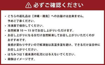 ガトーミュール ミニカヌレ 19個入 （定番10種＋季節のカヌレ2種 計19個）【2025年1月上旬～4月下旬発送予定】スイーツ お菓子 おやつ ミニ カヌレ 洋菓子 ギフト バニーユ ショコラ カフェ 黒ごま 黒蜜きな粉 抹茶 黒糖 くるみ バナーヌ キャラメルサレ ピスタチオ 淡雪 いちご モンブラン 冷凍