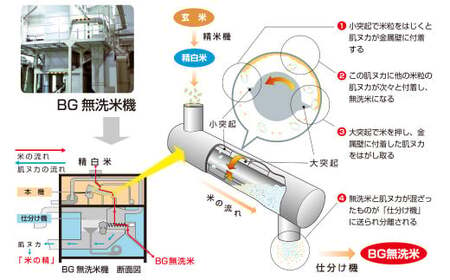 子育て応援米 【令和6年産】 奈義町産米 BG無洗米 （ きぬむすめ ） 5kg 【2025年1月下旬～2025年9月下旬発送予定】 お米 米 無洗米 岡山県