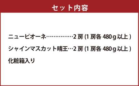 詰合 ニューピオーネ 2房 シャインマスカット 晴王 2房（1房各480g以上）計1.92kg以上 化粧箱入り 【2025年9月上旬～10月上旬迄発送予定】 ぶどう ブドウ 葡萄 マスカット ピオーネ 種なし 果物 くだもの フルーツ セット 冷蔵 国産
