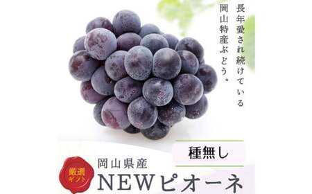 詰合 ニューピオーネ 2房 シャインマスカット 晴王 2房（1房各480g以上）計1.92kg以上 化粧箱入り 【2025年9月上旬～10月上旬迄発送予定】 ぶどう ブドウ 葡萄 マスカット ピオーネ 種なし 果物 くだもの フルーツ セット 冷蔵 国産