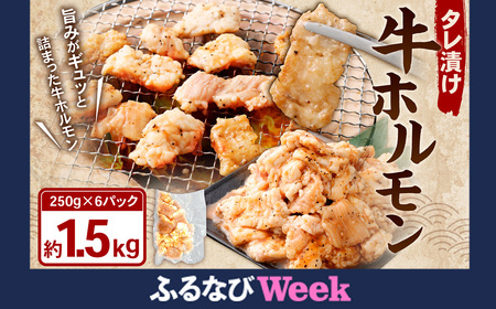【ふるなびWEEK対象】タレ漬け 牛ホルモン 1.5kg （250g×6パック） 牛肉 牛 お肉 肉 たれ タレ ホルモン 焼き肉 焼肉 小分け 冷凍 FN-Limited-PR