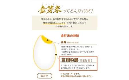 子育て応援米 【令和7年産】 那岐山麓菜の花米金芽米 （ コシヒカリ ） 10kg （5kg×2袋） 【2025年10月上旬より順次発送開始】 お米 米 金芽米 無洗米 岡山県
