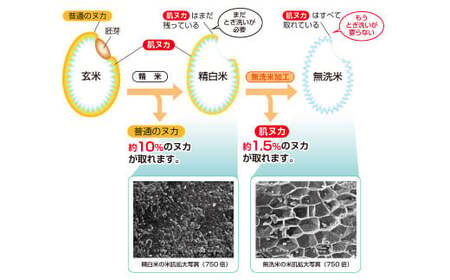 【ふるなびWEEK対象】子育て応援米 【令和7年産】 奈義町産米 BG無洗米 （ きぬむすめ ） 10kg （5kg×2袋）【2025年10月上旬より順次発送開始】 お米 米 無洗米 岡山県 FN-Limited-PR