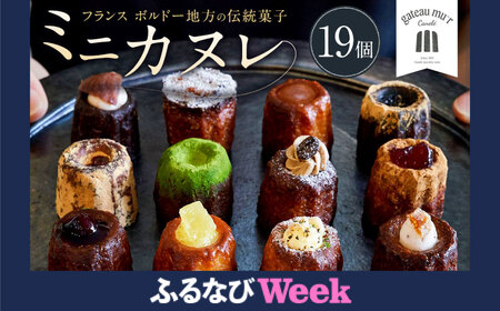 【ふるなびWEEK対象】ガトーミュール ミニカヌレ 19個入 （定番10種＋季節のカヌレ2種 計19個）スイーツ お菓子 おやつ ミニ カヌレ 洋菓子 ギフト バニーユ ショコラ カフェ 黒ごま 黒蜜きな粉 抹茶 黒糖 くるみ バナーヌ キャラメルサレ ピスタチオ 淡雪 いちご モンブラン 冷凍 FN-Limited-PR