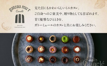 ガトーミュール ミニカヌレ 24個入 (定番10種+季節のカヌレ2種 計24個)スイーツ お菓子 おやつ ミニ カヌレ 洋菓子 ギフト バニーユ ショコラ カフェ 黒ごま 黒蜜きな粉 抹茶 黒糖 くるみ バナーヌ キャラメルサレ ピスタチオ 淡雪 いちご モンブラン 冷凍