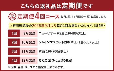 【4回定期便】 ニューピオーネ 晴王 紫苑 あたご梨 【2026年9月上旬より順次発送開始】 梨 葡萄 ブドウ ぶどう フルーツ 果物 ギフト 国産 岡山県産