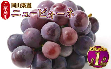 ご家庭用 岡山県産 ニューピオーネ 約1kg（500g×2房） 【2026年8月下旬～9月下旬迄発送予定】 果物 くだもの フルーツ ぶどう ブドウ 葡萄
