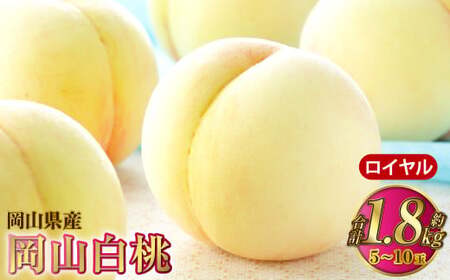 岡山白桃 ロイヤル 5～10玉 約1.8kg 岡山県産【2026年7月上旬～8月下旬発送予定】 白桃 桃 もも モモ