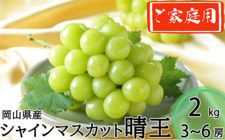 ご家庭用 シャインマスカット 晴王 3~6房 計約2kg 【2026年8月下旬~11月下旬迄発送】 岡山 種無し 種なし マスカット 果物 くだもの フルーツ ぶどう ブドウ 葡萄 冷蔵