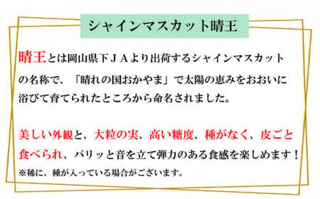 ご家庭用 シャインマスカット 晴王 3~6房 計約2kg 【2026年8月下旬~11月下旬迄発送】 岡山 種無し 種なし マスカット 果物 くだもの フルーツ ぶどう ブドウ 葡萄 冷蔵